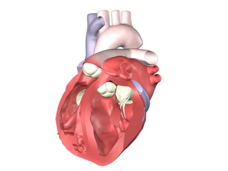 Treatment of toxic cardiopathy