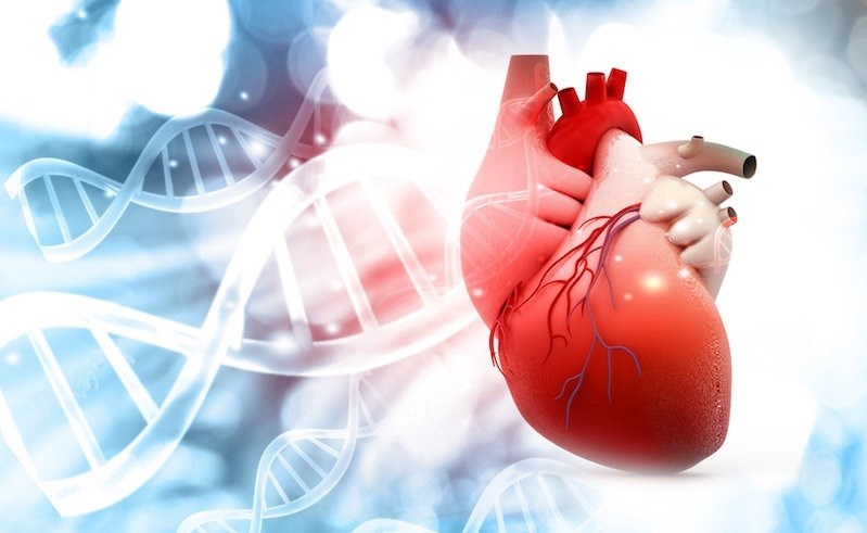 Modern methods of treating congenital heart defects 