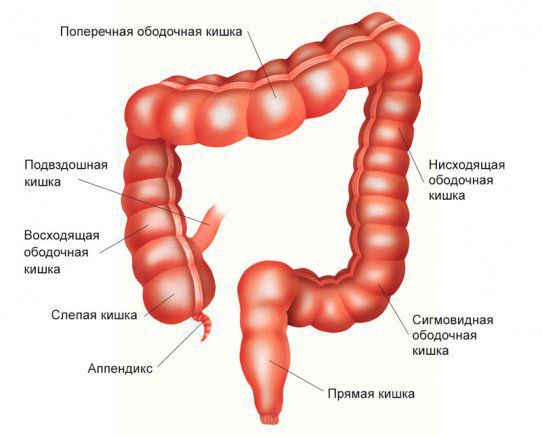 Consultation and diagnostics, treatment of anus itching
