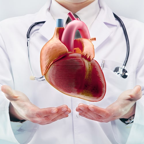 Methods of treating chronic heart failure