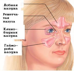 Diagnosis and treatment of nose diseases
