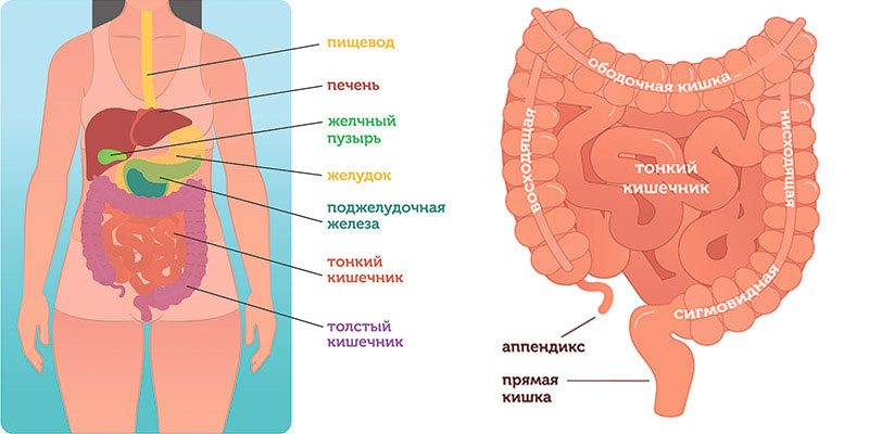 Treatment of intestinal tumors in Tashkent